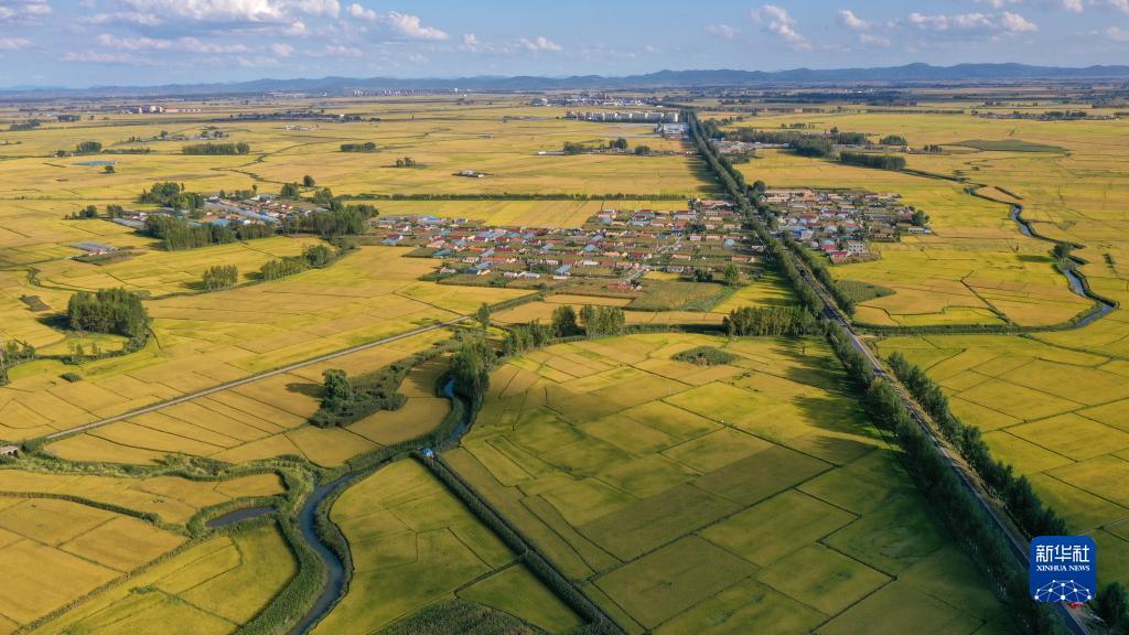 uedbet